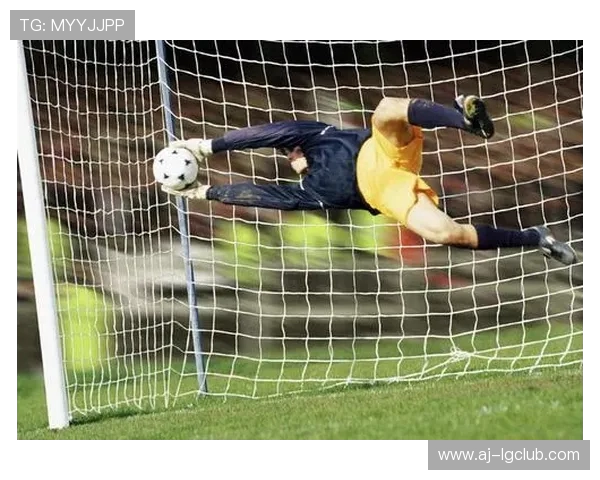 围绕两名守门员同场竞技展开的奇趣足球对决故事深度探秘全景精彩